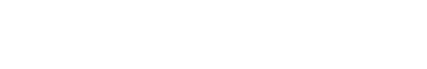 Shopify Partner